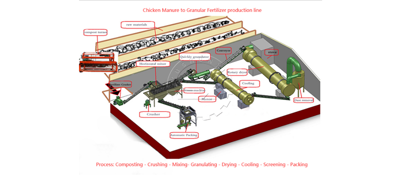 Organic chicken manure fertilizer production process